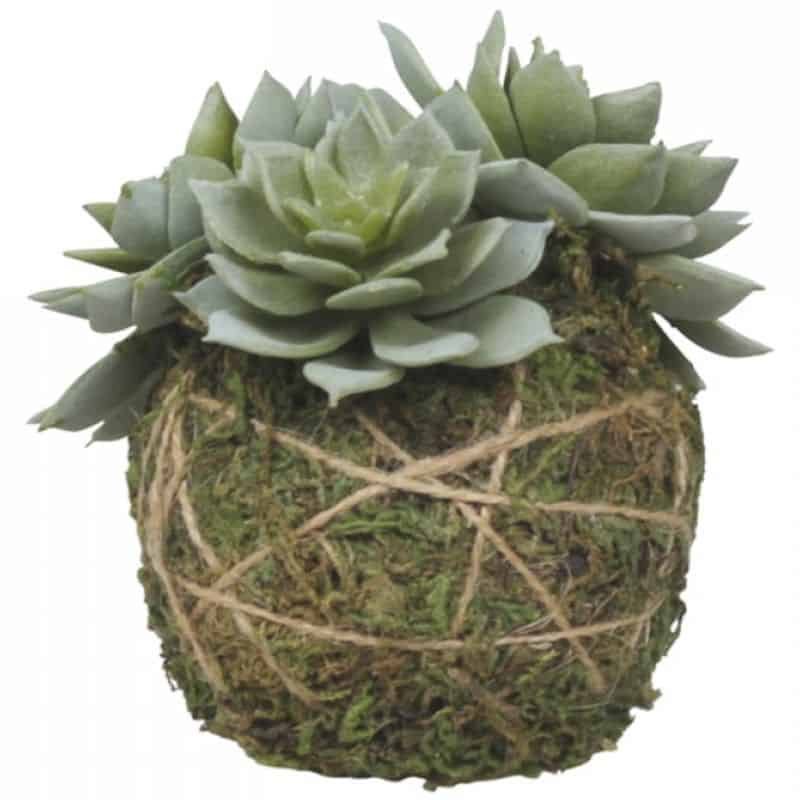 Fleur Sempervivum with Moss Ball - 8cm | Decorative Accessories | Faux Plants | The Elms